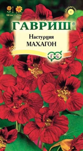 Махагон махр. Ц(Г)