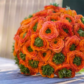 Грин Айленд Самоа (ЗКС) ЖИЛЯК