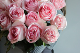 Лучиано (ЗКС) ЖИЛЯК