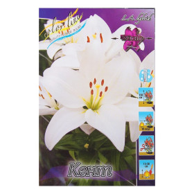 Кент (ЛА) 7шт