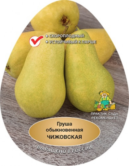 Чижовская 1шт/ сетка Поиск