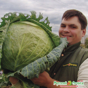 Русский размер б\к 50шт Ц(Н)