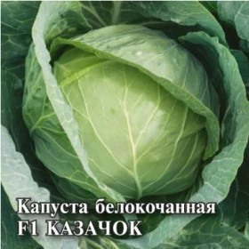 Казачок ранняя б\к 10 гр.\Гавриш