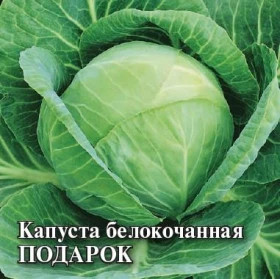 Подарок б\к 10гр.\Гавриш