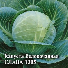 Слава 1305 б\к 10 г Гавриш