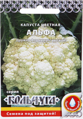 цветная Альфа Кольчуга