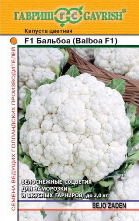 цветная Балбоа Ц(Г)