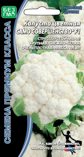 цветная Само Совершенство, ранняя Ц(УД)