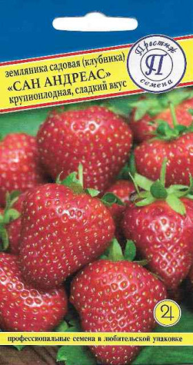 Сан Андреасс 0,01гр Ц(П)