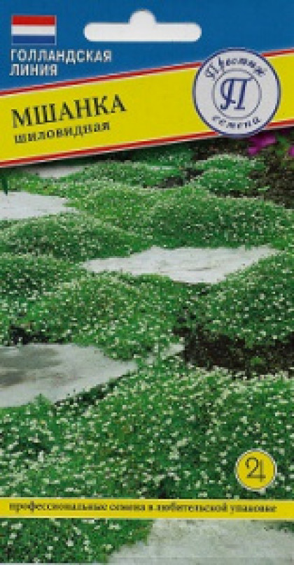 Шиловидная 0,01 г Ц(П)