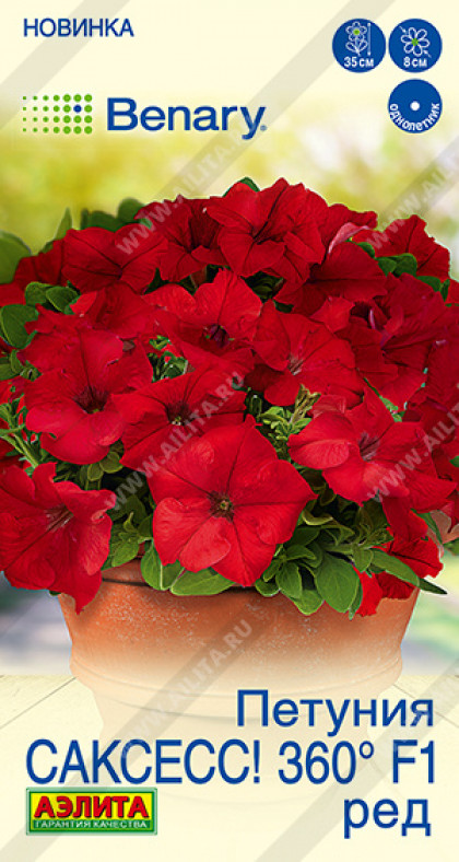 САКСЕСС Ред Ц(А)