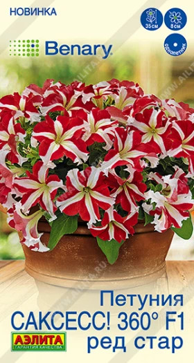 САКСЕСС Ред Стар Ц(А)