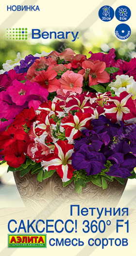 САКСЕСС Смесь Ц(А)