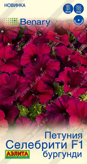 Селебрити Бургунди Ц(А)