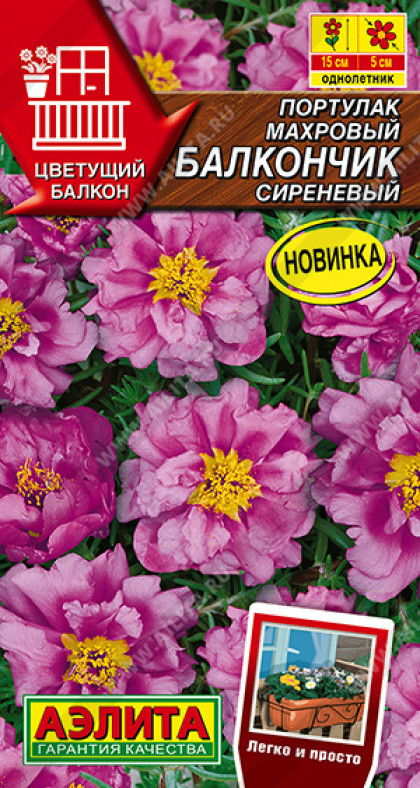 Балкончик сиреневый махровый Ц(А)