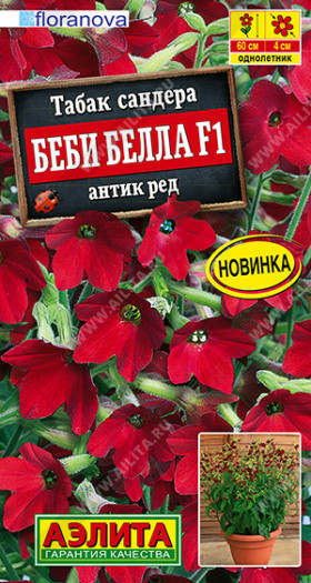 Сандера Беби Белла Ц(А)