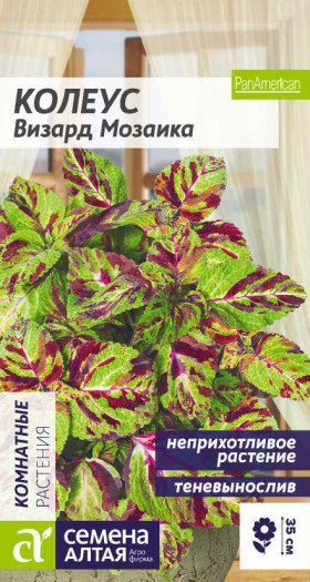 Визард Мозаика 5шт Ц(Алт)