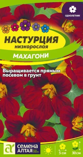 Махагони низкоросл.1гр Ц(Алт)