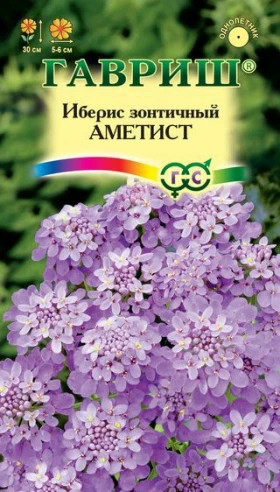 Аметист Ц(Г)