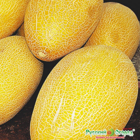 Ананас 0,5г Ц(Н)