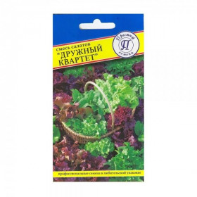 Дружный квартет 1 гр Ц(П) НОВИНКА