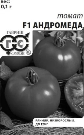 Андромеда Б(Г)