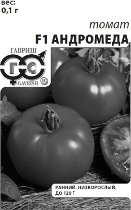 Андромеда Б(Г)