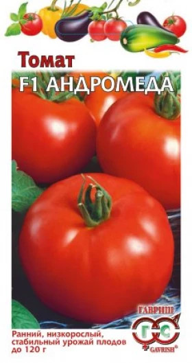 Андромеда Ц(Г)