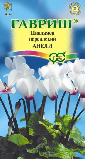 Анели персидский 3шт Ц(Г)