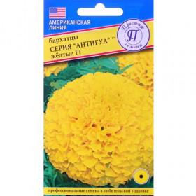 Антигуа Желтые Ц(П)