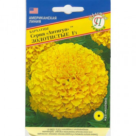 Антигуа Золотистые Ц(П)