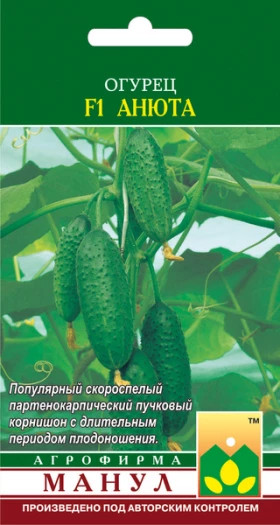 Анюта Манул