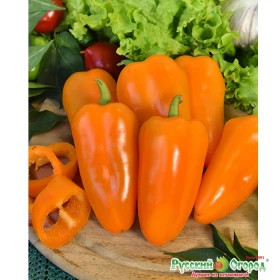 Апельсин Ц(Н)