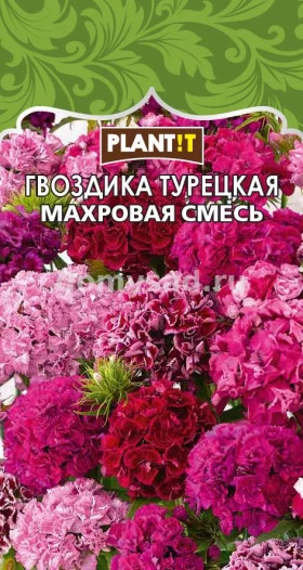 Гвоздика турецкая Махровая смесь Plantit