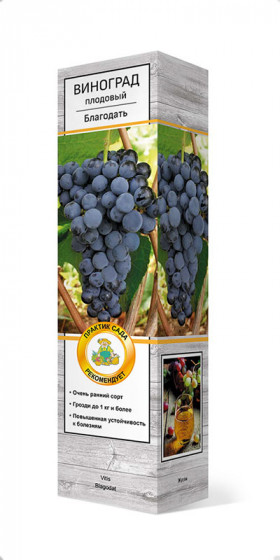 Благодать  плодовый Поиск