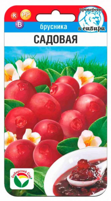брусника Садовая 10шт СС