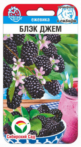 ежевика Блэк Джем 10шт СС