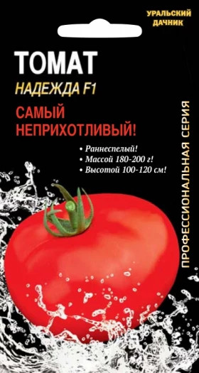 Надежда Ц(УД)