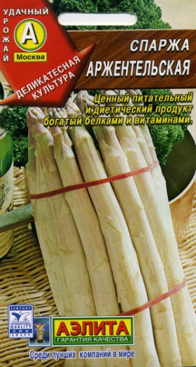 Аржентальская Ц(А)