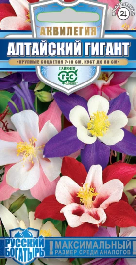 Алтайский гигант Ц(Г)