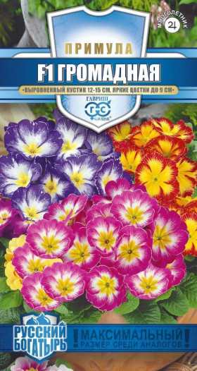 Громадная смесь Ц(Г)