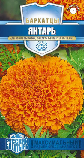 Янтарь Ц(Г) бархатцы