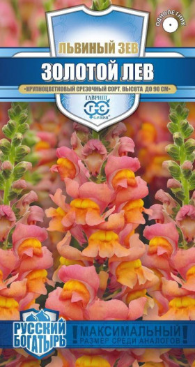 Золотой лев Ц(Г)