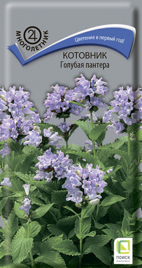 Голубая пантера Ц(Поиск)