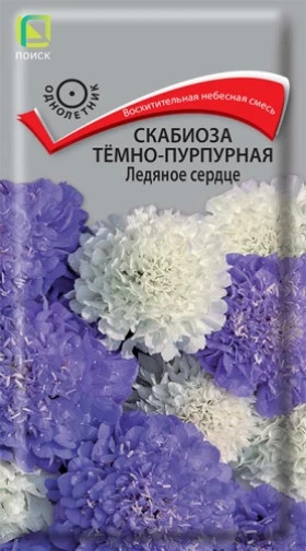 Ледяное сердце темно-пурпурная Ц(Поиск)