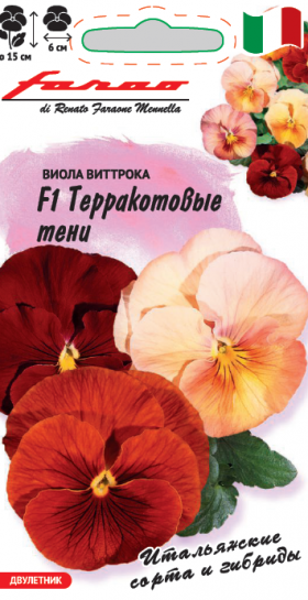 Терракотовые тени Ц(Г)