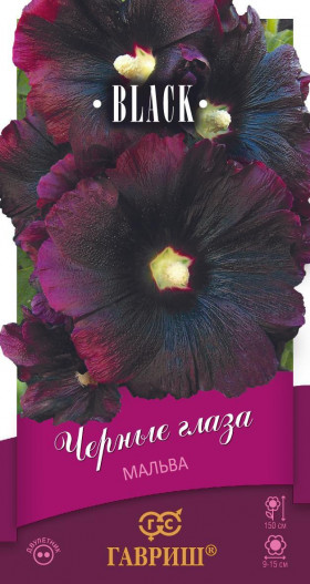 Черные глаза Ц(Г)