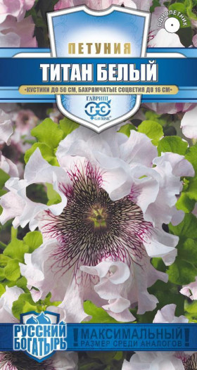 Титан белый бахромчатый Ц(Г)