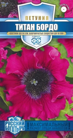 Титан бордо Ц(Г)