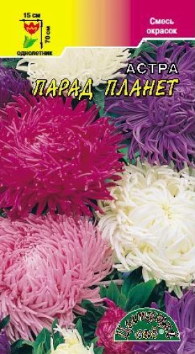 Парад Планет хризантемовид/Цветущий Сад